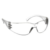 Economy™ Frame, Anti-Fog Safety Glasses, Clear Lens, 1/ea